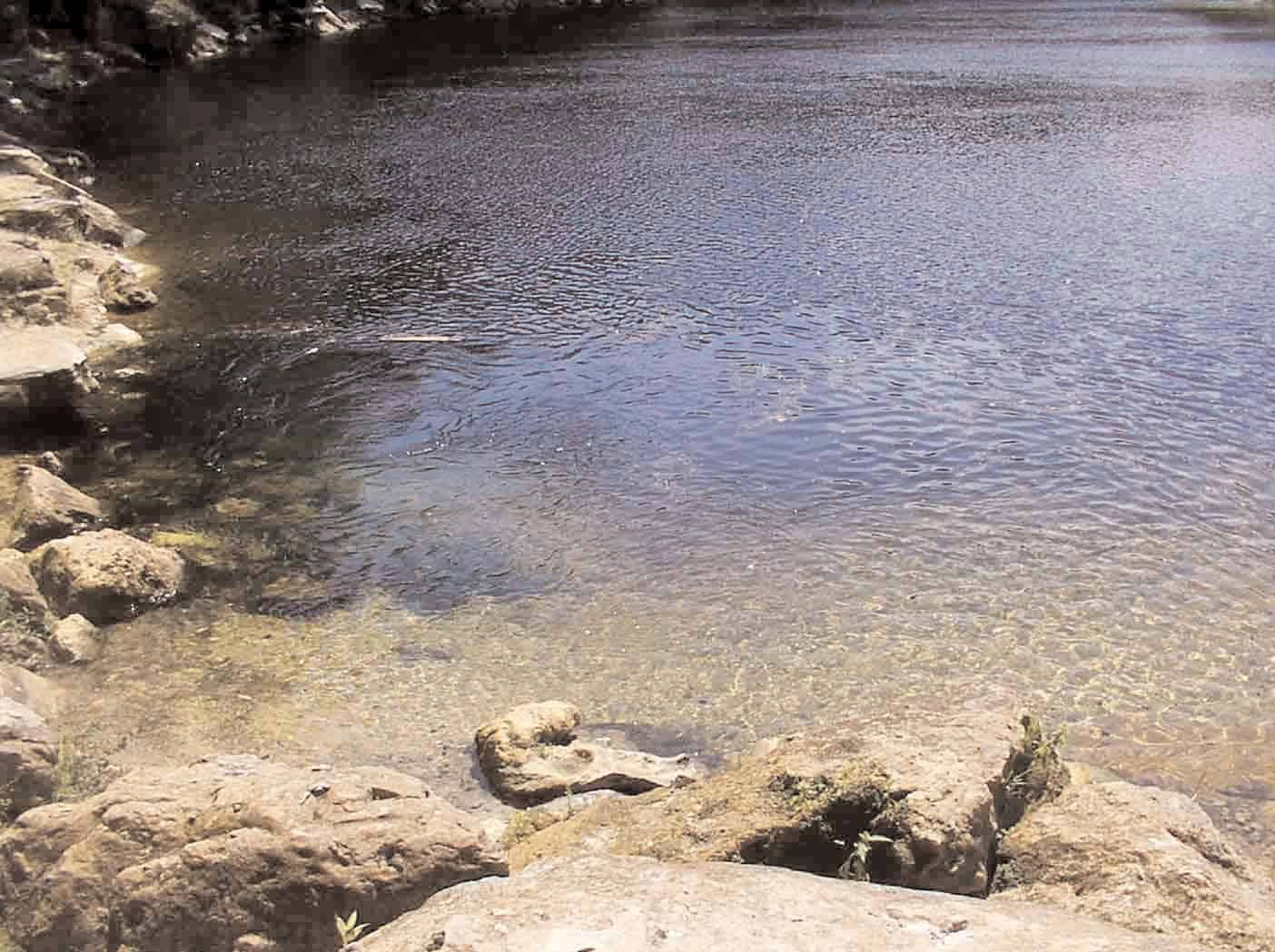 Anderson Spring pool on the Suwannee River